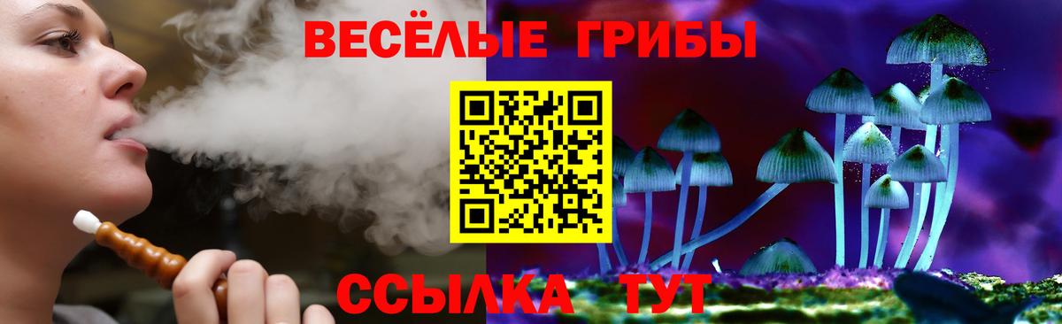 Галлюциногенные грибы мицелий Коряжма